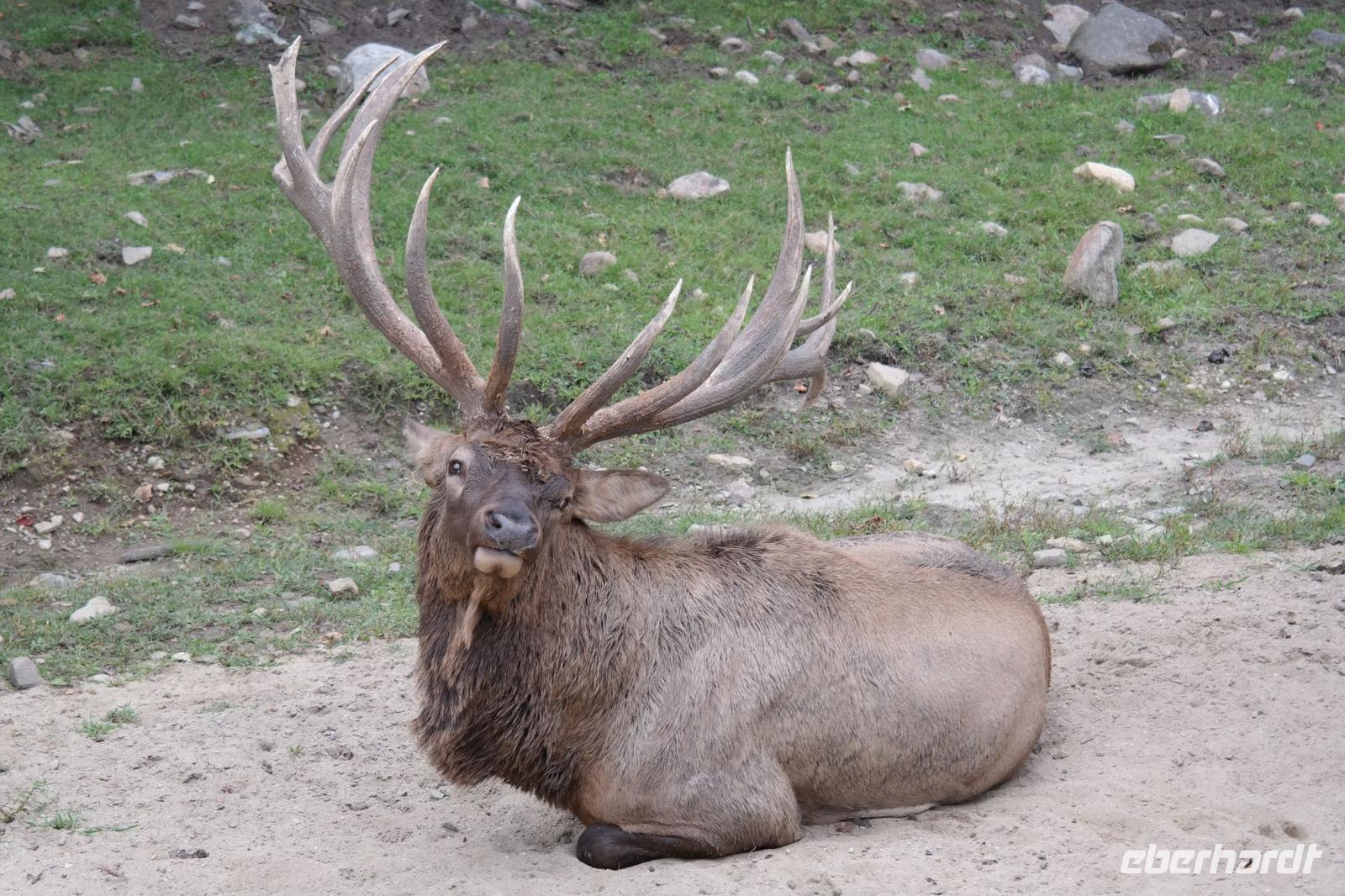 Omega Park