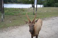 Omega Park
