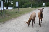 Omega Park