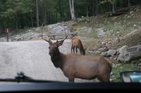 Omega Park