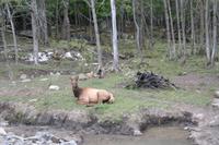Omega Park