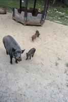 Omega Park