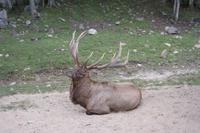 Omega Park