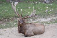Omega Park