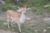 Omega Park