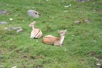 Omega Park