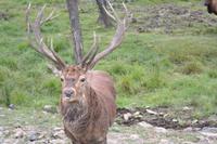Omega Park