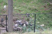 Omega Park