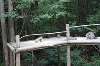 Omega Park