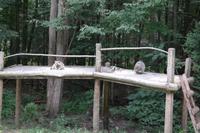 Omega Park