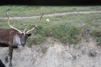 Omega Park
