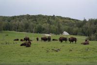Omega Park