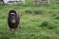 Omega Park