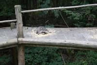 Omega Park