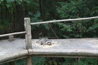 Omega Park