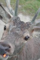 Omega Park