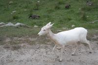 Omega Park