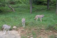 Omega Park