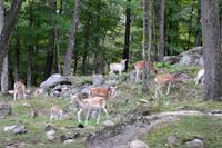 Omega Park