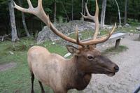 Omega Park