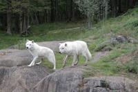 Omega Park