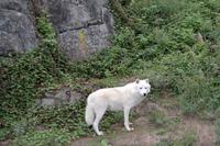 Omega Park