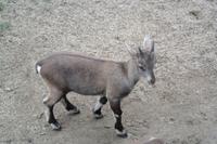 Omega Park
