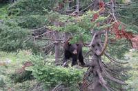 Omega Park