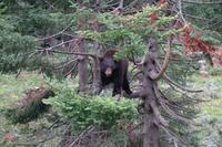 Omega Park