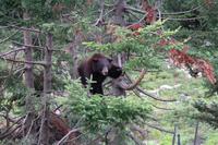 Omega Park