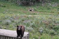 Omega Park