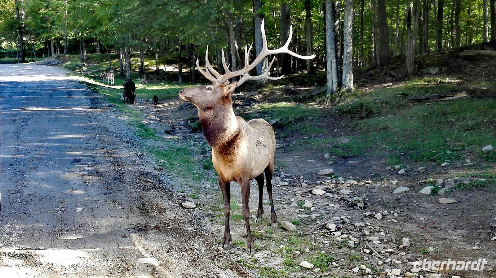 Omega Wildlife Park