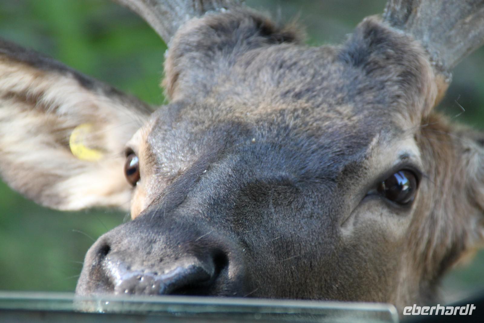 Omega Wildlife Park