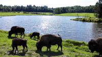 Omega Wildlife Park