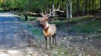 Omega Wildlife Park