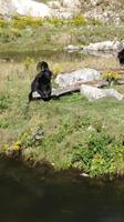 Omega Wildlife Park