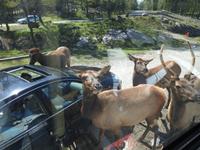 Omega Wildlife Park