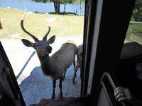 Omega Wildlife Park
