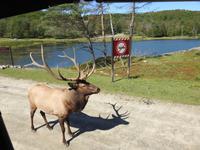 Omega Wildlife Park