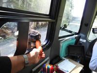 Omega Wildlife Park