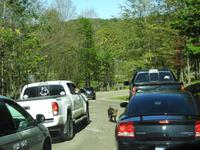 Omega Wildlife Park
