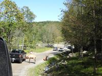 Omega Wildlife Park