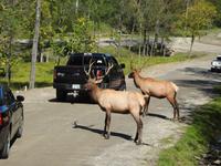 Omega Wildlife Park