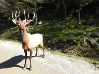 Omega Wildlife Park