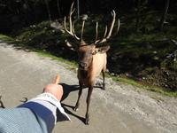 Omega Wildlife Park