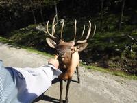 Omega Wildlife Park