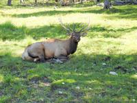 Omega Wildlife Park