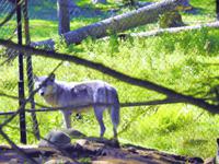 Omega Wildlife Park