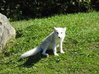 Omega Wildlife Park