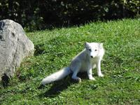 Omega Wildlife Park